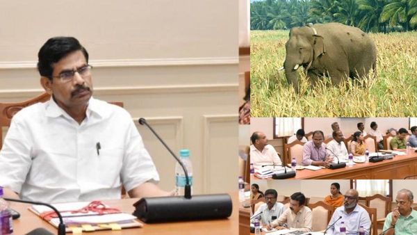 வன விலங்குகளால் பயிர் சேதம்! நிரந்தர தீர்வு என்ன? அதிகாரிகளுக்கு இறையன்பு போட்ட 5 முக்கிய உத்தரவுகள்