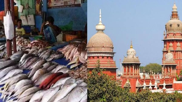 மீன் கடைகள்.. சென்னை லைட் ஹவுஸ் டூ பட்டினப்பாக்கம்.. தாமாக முன் வந்து ஐகோர்ட் அதிரடி வழக்கு