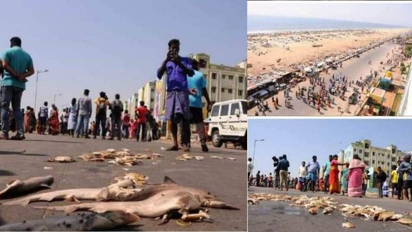 பட்டினப்பாக்கம் மீனவர்கள் விவகாரம்.. மேயர் பிரியா இப்படி நடந்துகொள்வது ஏற்புடையதல்ல.. எஸ்டிபிஐ