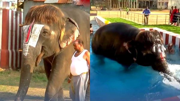 என்னா வெயிலு! பாப்கட்டுடன் நீச்சல் குளத்தில் முங்கி எழுந்த செங்கமலம்! மேடம் 3 வேளை குளிக்கிறாங்களாம்