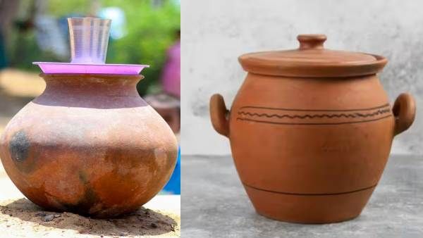 எப்புட்றா! வெயில் என்ன பொளந்தாலும்.. பானை நீர் எப்போதும் ஜில்தான்! இதில் இருக்கும் நன்மைகள் தெரியுமா