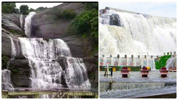 கோடையில் ஜில்லென்று பெய்த மழை..உயிர் பெற்ற குற்றால அருவிகள்..திற்பரப்பில் உற்சாக குளியல்