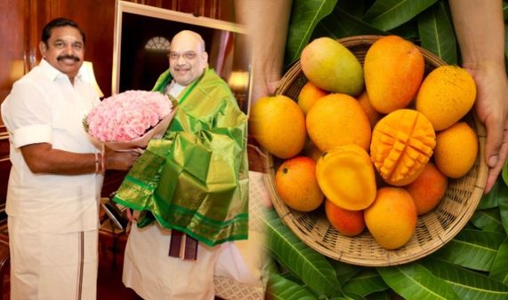 இந்தாங்க சேலத்து மாம்பழம்.. தாமரை-இலை கூட்டணி உறுதியானவுடன் அமித்ஷாவுக்கு எடப்பாடி பழனிசாமி “கிப்ட்”