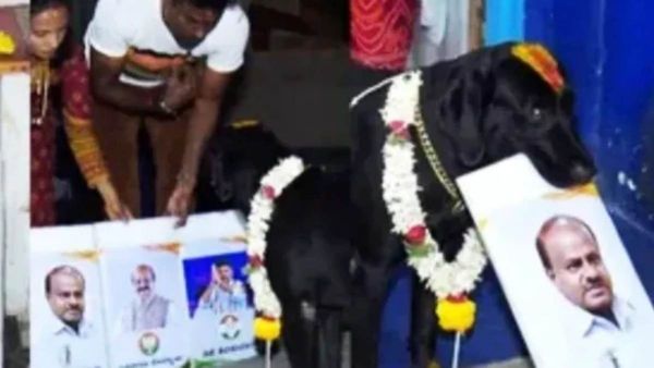 கர்நாடகாவின் அடுத்த முதல்வர் இவர்தான்.. கணித்து கூறிய நாய்! ஒருவேளை இருக்குமோ? களம் பொருந்துதே?ஆஹா