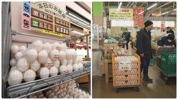 என்னாங்க இது அநியாயம்.. நம்ம ஊரு கோழிக் கறி விலைக்கு ஒரு முட்டை விலை! விழிபிதுங்கும் ஜப்பானியர்கள்!