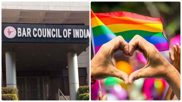 'கலாச்சாரம் என்ன ஆகுறது?' தன்பாலின ஈர்ப்பாளர்களின் திருமணம் குறித்து பதறிய பார் கவுன்சில்!