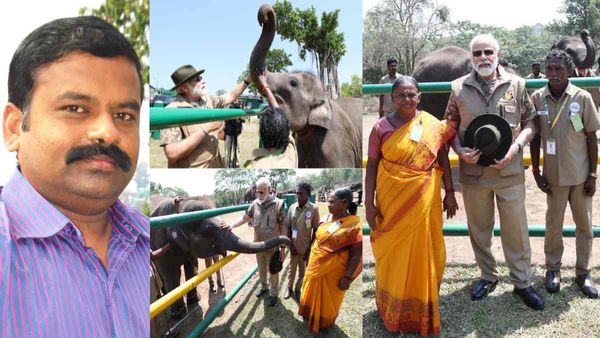 அடடே.. இது தமிழா? மோடி சந்தித்த ஆஸ்கர் தம்பதி.. “பொம்மன்” தெரியும் - “பெள்ளி” அர்த்தம் இதுவா?