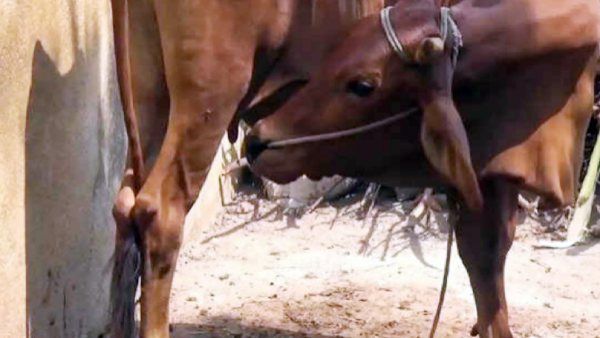திருவண்ணாமலையில் ஆச்சரியம்.. சுகுமார் வீட்டில் 