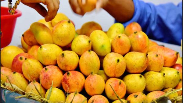 கேன்சர் கூட வரும்.. கல் வைத்து பழுக்கும் மாம்பழங்கள்..சிம்பிள் டெக்னிக்ஸ்.. எப்படி கண்டுபிடிக்கலாம்?