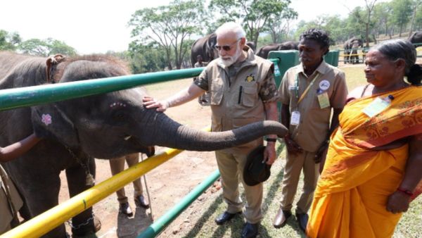 ‛‛உங்களை போல் யாருமேயில்லை’’.. பிரதமர் மோடி சொன்ன ஒரு வார்த்தை.. நெகிழ்ந்துபோன பொம்மன்-பெள்ளி!