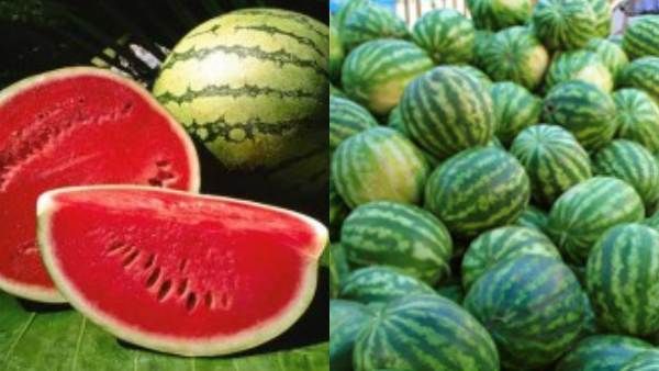 என்னங்க சொல்றீங்க.. தர்ப்பூசணி சாப்பிட்ட உடன் தப்பித்தவறி கூட இந்த உணவுகளை சாப்பிட கூடாதா.. ஏன்?