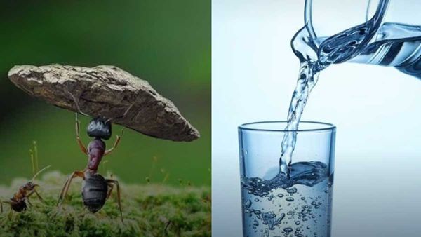 ச்சே.. இவ்ளோ நாளா இதெல்லாம் தெரியாமல் இருந்திருக்கே.. நாம் அறிந்திராத சில சுவாரசிய உண்மைகள்