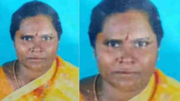 வாழைத்தோப்புக்குள் நுழைந்த செல்வி.. அதைவிடுங்க.. 