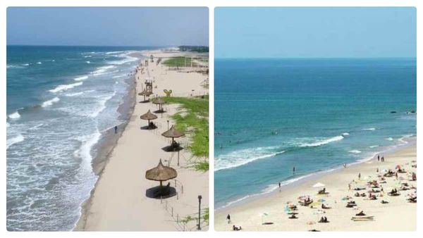 தென்னிந்தியாவில் உள்ள சிறந்த கடற்கரைகள் எது தெரியுமா? லிஸ்ட் இதோ.. விசிட் அடிக்க நீங்க ரெடியா!