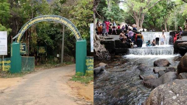 களக்காட்டு தலையணை நீர்வீழ்ச்சியில் அதிகரித்த நீர்வரத்து.. மருத்துவ நீரில் ஆட்டம் போட எப்படி போகலாம்