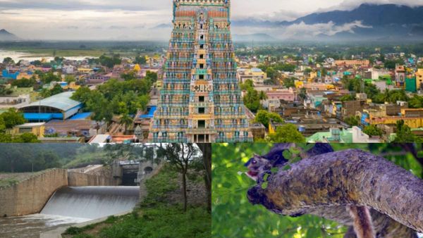 விருதுநகர் மாவட்டத்துல 'டக்கரா' இவ்வளவு இடம் இருக்கா! சம்மருக்கு டென்ட் அடிக்க ஏற்ற ஸ்பாட் இதுதான் 