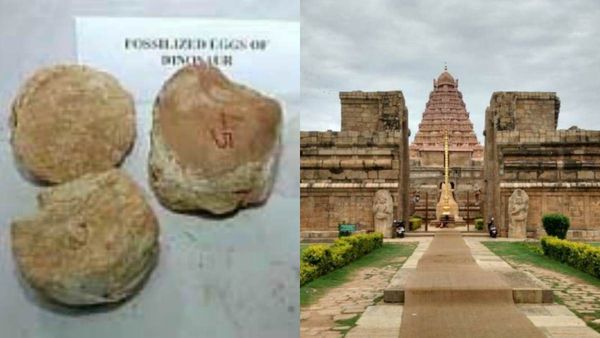 அரியலூரில் வெறும் டைனோசர் முட்டை மட்டும்தான் இருக்கா! இல்லீங்க செம டூர் ஸ்பாட்டும் இருக்கு பாருங்க 