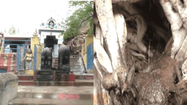 வறண்ட பகுதியில் வற்றாத மர்ம சிற்றோடை! 18 சித்தர்கள் தவம் இருந்த அதிசய சுனை.. திருச்சியில் நெகிழ்ச்சி