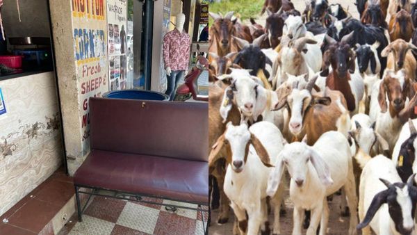 என்னங்க இது.. பெங்களூரில் இன்று ஆட்டுக்கறி கிடைக்காமல் தட்டுப்பாடு! பின்னணியில் எம்எல்ஏக்கள்!