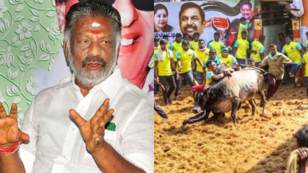 நான் முதல்வராக இருந்த போது ஜல்லிக்கட்டு சட்டத் திருத்தம்.. மகிழ்ச்சியில் துள்ளி குதிக்கும் ஓபிஎஸ்