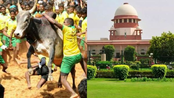 17 ஆண்டு ஜல்லிக்கட்டு வழக்கு!2006 மதுரை ஹைகோர்ட் கிளையில் தொடங்கி 2023-ல் உச்சநீதிமன்றத்தில் நிறைவு!