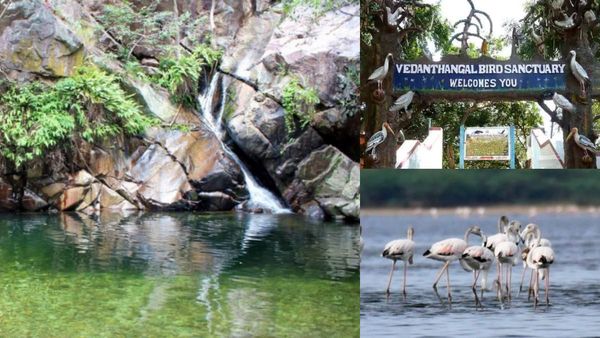  கோடையை குளுகுளுவென என்ஜாய் செய்ய.. சென்னைக்கு அருகே உள்ள பட்ஜெட் சுற்றுலா தலங்கள்! லிஸ்ட் இதோ