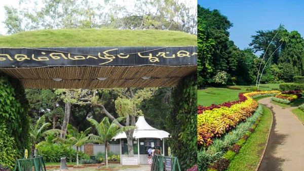 செம்மொழி பூங்காவில் மலர் கண்காட்சி.. சென்னை மாணவர்களுக்கு சூப்பர் அறிவிப்பு! அட.. லீவும் இருக்கே!