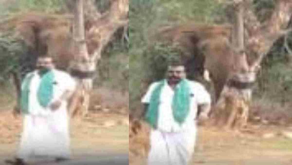 வணக்கம்டா மாப்ள.. காட்டு யானையை கை தூக்கி கும்பிட்டு விரட்ட போன நபர்! வனத்துறை வார்னிங்