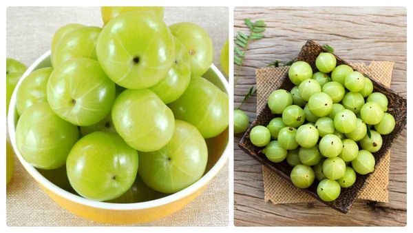 நீண்ட ஆயுள் தரக்கூடிய அருமையான நெல்லிக்காயின் அற்புத பலன்கள்