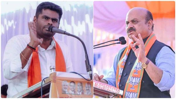 அண்ணாமலை பணியாற்றியதால் பாஜக படுதோல்வி அடைந்ததா? ரிசல்ட் சொல்வது என்ன? அந்த மாவட்டம் க்ளீன் ஸ்வீப்!