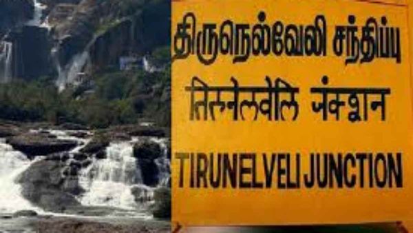 திருநெல்வேலி கிளம்பறீங்களா.. தித்திக்கும் இருட்டுக்கடை அல்வா.. அதைவிடுங்க.. இதான் சீக்ரெட்.. பாருங்க