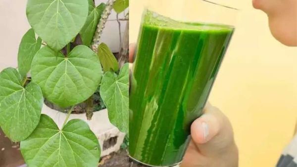 1 ஜூஸ்.. நீங்க வெயிட்டை குறைக்கணுமா.. அப்ப உங்களுக்குதான் இந்த குட்நியூஸ்.. நல்ல ரிசல்ட் இருக்காமே