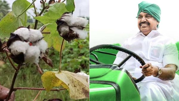 கோடை மழையால் சேதம்! பருத்திக்கு ரூ.50,000! எள்ளுக்கு ரூ.20,000 நிவாரணம் தருக! -எடப்பாடி பழனிசாமி