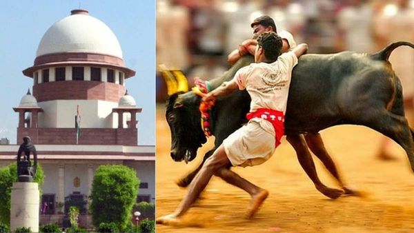 அன்று மெரினாவில் தொடங்கிய யுத்தம்..உச்சநீதிமன்றத்தில் ஓய்ந்தது! இனி ஜல்லிக்கட்டுக்கு தடையே கிடையாது!