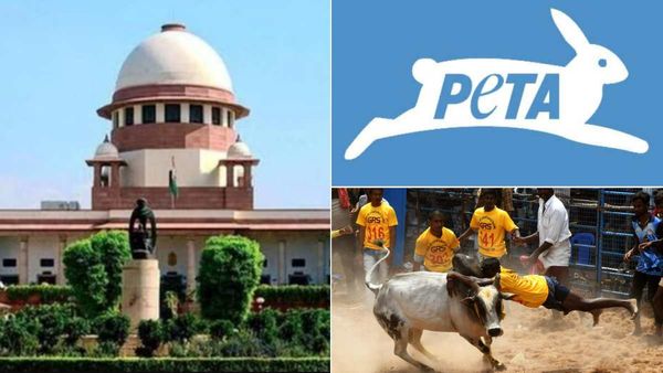 ஒரே வார்த்தையில் பீட்டாவை வாயடைக்க வைத்த நீதிபதிகள்.. உச்சநீதிமன்ற தீர்ப்பின் முக்கிய அம்சங்கள்!