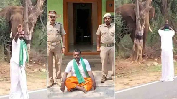 ஒற்றை காட்டு யானையிடமே.. போதையில் வம்பிழுத்த மீசை முருகேசன்.. தட்டி தூக்கிய வனத்துறை !