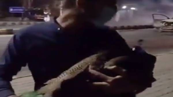 பாகிஸ்தான் ராணுவ கமாண்டர் இல்லம் சூறை.. உணவு, மயில்களை தூக்கிச் சென்ற போராட்டக்காரர்கள்!