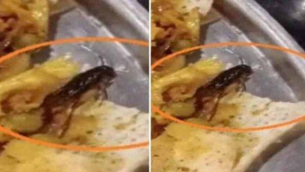 அவங்க கேட்டது மசாலா ரோஸ்ட்.. ஆனா கிடைச்சது கரப்பான்பூச்சி தோசை.. கோவையில் பிரபல ஹோட்டலில் அதிர்ச்சி