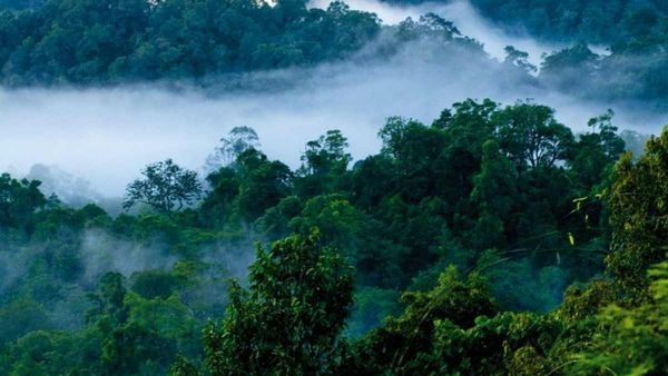 கோவை மக்கள்.. சில்லுன்னு ஜில் பண்ணலாம்.. பக்கத்திலேயே இருக்கும் டாப் கோடைவாசஸ்தலங்கள்