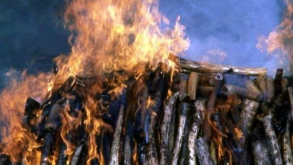 'நட்புக்காக..' நண்பன் உயிரிழந்த துக்கம்.. தகனம் செய்யும் போது தீயில் பாய்ந்து உயிரை விட்ட சோகம்