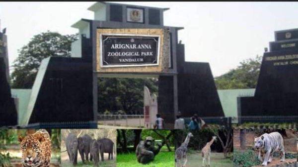 வண்டலூர் ஜூ போறீங்களா? அறிமுகமாகும் சூப்பர் திட்டம்.. 2 வருட காத்திருப்புக்கு விரைவில் புல்ஸ்டாப்