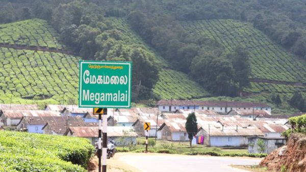 மேகமலைக்கு போக ஆசைப்படுறீங்களா.. தேனி கலெக்டரின் எச்சரிக்கையை கேட்டுட்டு போங்க!