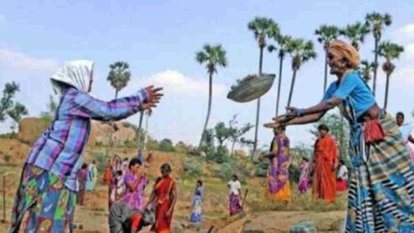 100 நாள் வேலைத்திட்டத்தில் என்னென்ன குறைகள்? குறை தீர்ப்பாளருக்கு போன் போட்டால் 15 நாட்களில் தீர்வு