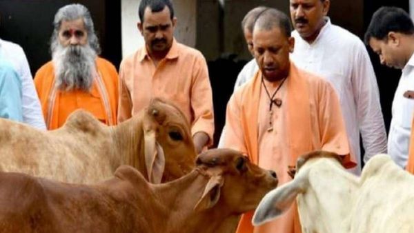 பால் உற்பத்தியில் சாதனை படைக்கும் உத்தரப் பிரதேசம்! 190 கிராமங்களை தரம் உயர்த்த பாஜக அரசு முயற்சி