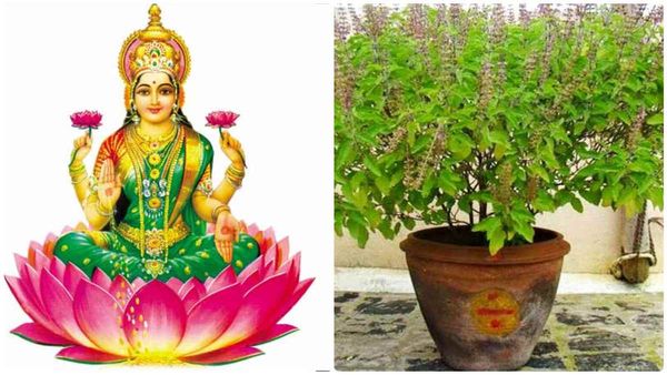 லட்சுமி அருளால் பணம் பெருக..வீட்டில் மகிழ்ச்சியும் நிம்மதியும் நிறைந்திருக்க..இந்த ஒரு பொருள் போதும்