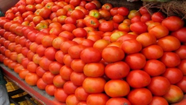 தக்காளி விலை கிலோ உச்சத்தில் ரூ.100 ஆக உயர்வு.. பண்ணை பசுமை கடைகளில் ரூ.68ஆக விற்பனை