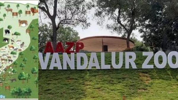 வேற லெவலில் மாறும் வண்டலூர் ஜூ..அருங்காட்சியகம்..7 டி தியேட்டர்..வன விலங்குகள் பற்றி விழிப்புணர்வு