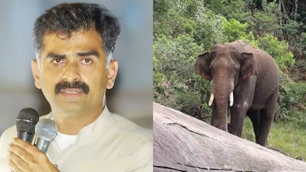 செம்ம ஆச்சரியம்ல! அரிசி கொம்பன் எனும் அரிகொம்பன் யானை குற்றவாளியா?களமிறங்கிய வைகோ மகன் துரை வைகோ!