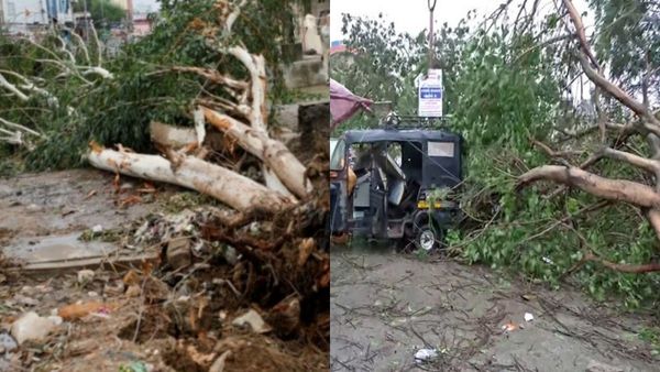 ஆட்டத்தை தொடங்கிய பைபர்ஜாய்.. வெளுத்து வாங்கும் மழை.. சுழன்றடிக்கும் காற்று.. வேரோடு வீழ்ந்த மரங்கள்