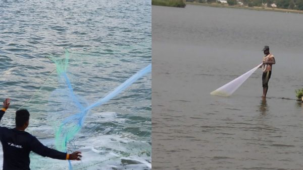 வலையை விரிச்சு வீசு.. மாட்டுறது மாட்டும்.. 'அண்ணன் நரிமுகத்துல முழிச்சிருப்பாரு போல'.. நீங்களே பாருங்க